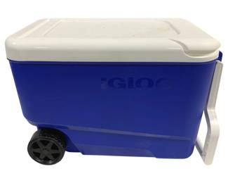 4554 - Igloo Cooler 38 Qt - 21 x 16 x 12