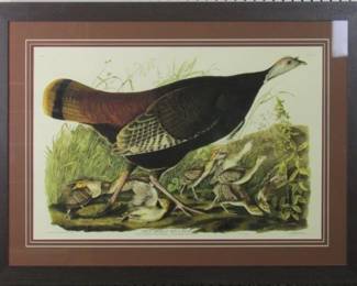 9058 - Hen and Young by John J Audubon (Description): 39 X 29.5