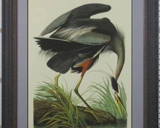 9053 - Great Blue Heron by John J Audubon (Description): 29 X 37