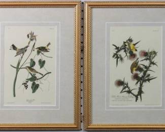 9051 - Set of 2 Antique Audubons (Description): 13 X 16.5