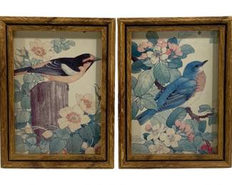 6621 - 2 Framed Bird Prints - 6 x 8