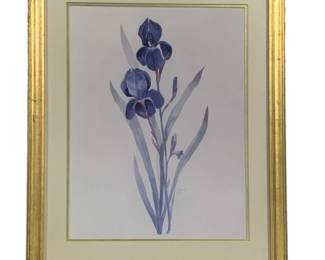 6038 - Framed Watercolor - Signed - 24.5 x 30.5