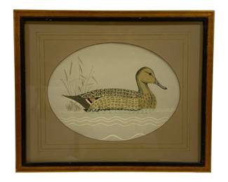 5173 - Framed Duck Print - 17.5 x 14