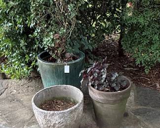 Assorted Ceramic and Terracotta Planters with Plants