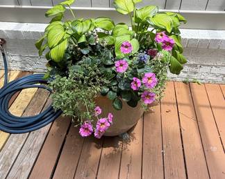 Hosta and Flower Planter