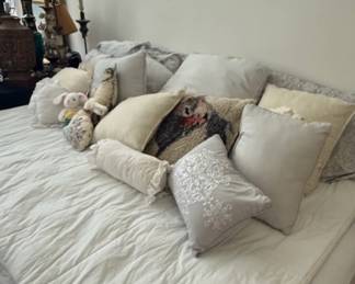 Assorted Decorative Throw Pillows