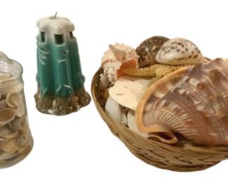 254 - Lot of Seashells and More