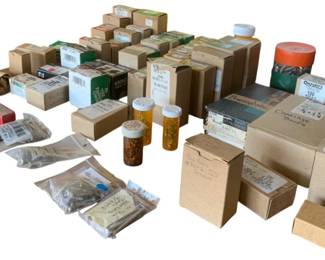 83 - Lot of Assorted Screws