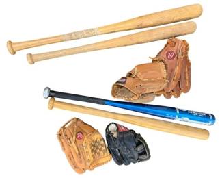 37 - Lot of Baseball Gear