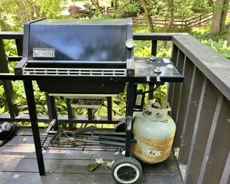 Weber Gas Grill