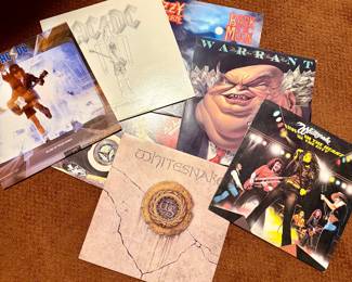 Over 300 Vinyl records