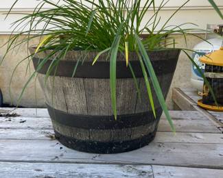 Barrel Planter Pot with Liriope Grass