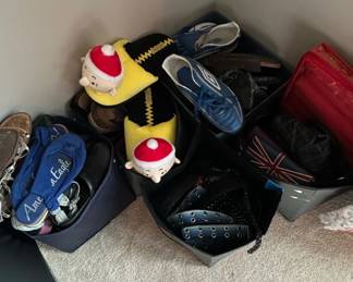 Assorted Accessories Collection