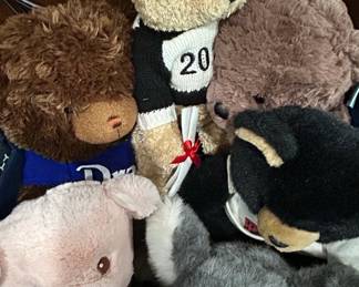 Graduation Teddy Bear Lot