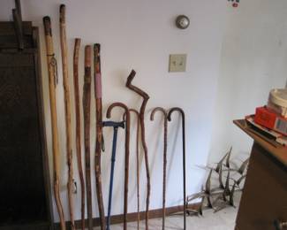 Assortment of Walking Sticks and Canes