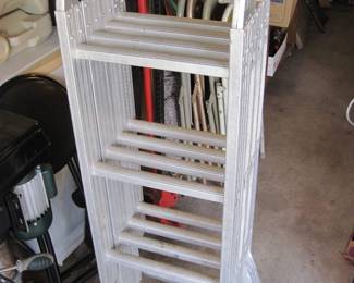 Folding Ladder