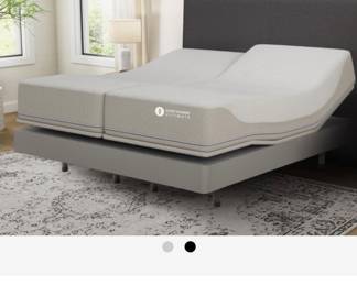 Queen Size 2 Year Old 360 SleepNumber Adjustable Base Professional Dry Cleaned 