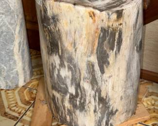 Petrified Wood - H.E.A.V.Y  !!!! 