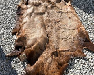 ELK HIDE