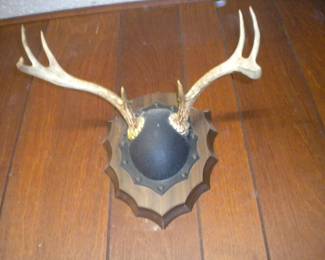 8 Pt mount