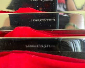 Vintage Eales Stainless Steel Steak Knives Set in Case second image