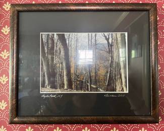 Framed Landscape Photograph "Hyde Park, NY" by R. Weber, 2011