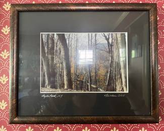Framed Landscape Photograph Hyde Park, NY by R. Weber,