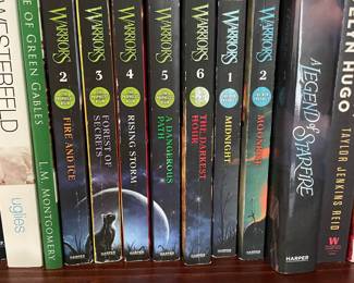 Assorted Books