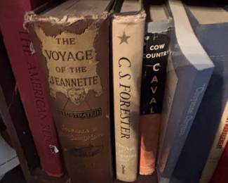 The Voyage of the Jeannette Illustrated