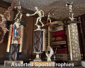 Assorted Sports Trophies