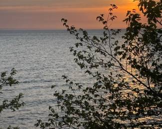 Sunset over Water with Silhouetted Branches
