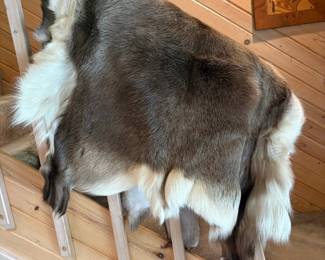 Reindeer Hide Rug