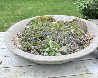 Concrete Bird Bath Planter with Succulents and Moss