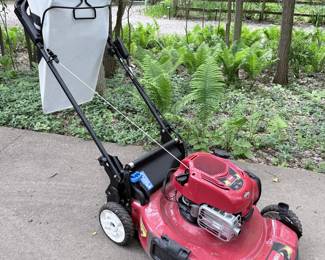 Toro Recycler 22" Self-Propelled Lawn Mower