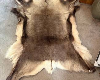 Reindeer Hide Rug