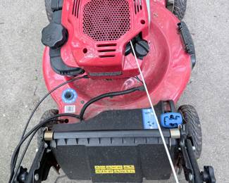 Toro Recycler 22" Self-Propelled Lawn Mower