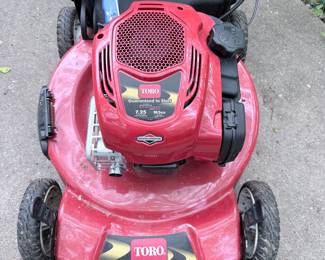 Toro Recycler 22" Self-Propelled Lawn Mower
