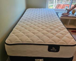 We have another sort of practically new if not new twin size mattress box spring and frame in the guest bedroom I don't think it was ever used $100