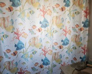 Shower curtain