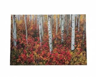 Aspen Forest in Autumn Canvas Print