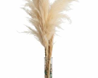 Pampas Grass Arrangement in Glass Vase