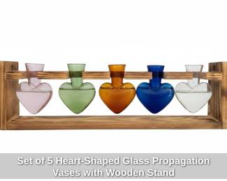 Set of HeartShaped Glass Propagation Vases with Wooden Stand