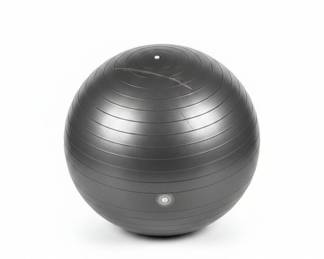 Stability Ball or Exercise Ball