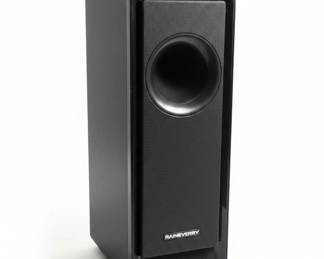 RaineVerry . Channel Soundbar with Subwoofer