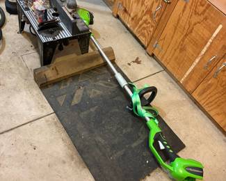 EGO 40V Lithium-Ion String Trimmer