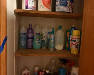 Assorted Health and Household Cleaning Products