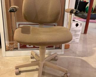 Herman Miller Ergon Task Chair