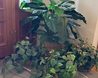Faux House Plants