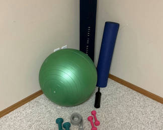 Lot 18: Fitness Equipment Set with Stability Ball, Mats, Foam Roller, Dumbbells, and Strap