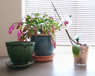 Lot 90: Small Christmas Cactuc & Orchid, Vintage Ceramic Pots
